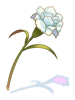 香る花