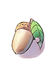 まだ青いどんぐり