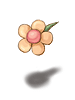 花びら