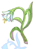 幻想の花