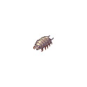 アクラウス