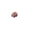キャラメル