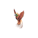 極楽鳥