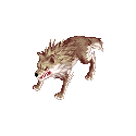 生者のデザートウルフ