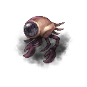 単眼ドロカリス