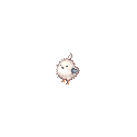 コポ