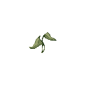 緑色草