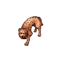 ジャガー