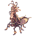 マヤー(B)(MD)