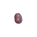 プパ