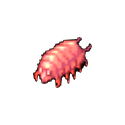 カニバラウス