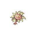 成長した怪しい植物
