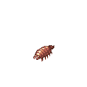 ジクラウス